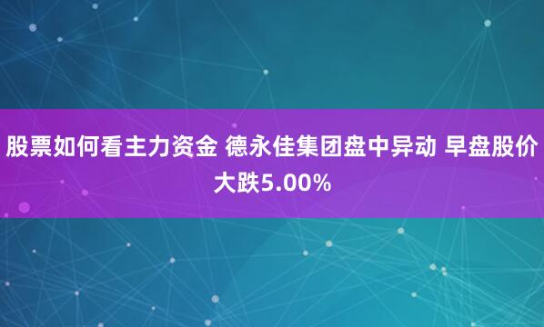股票如何看主力资金 德永佳集团盘中异动 早盘股价大跌5.00%