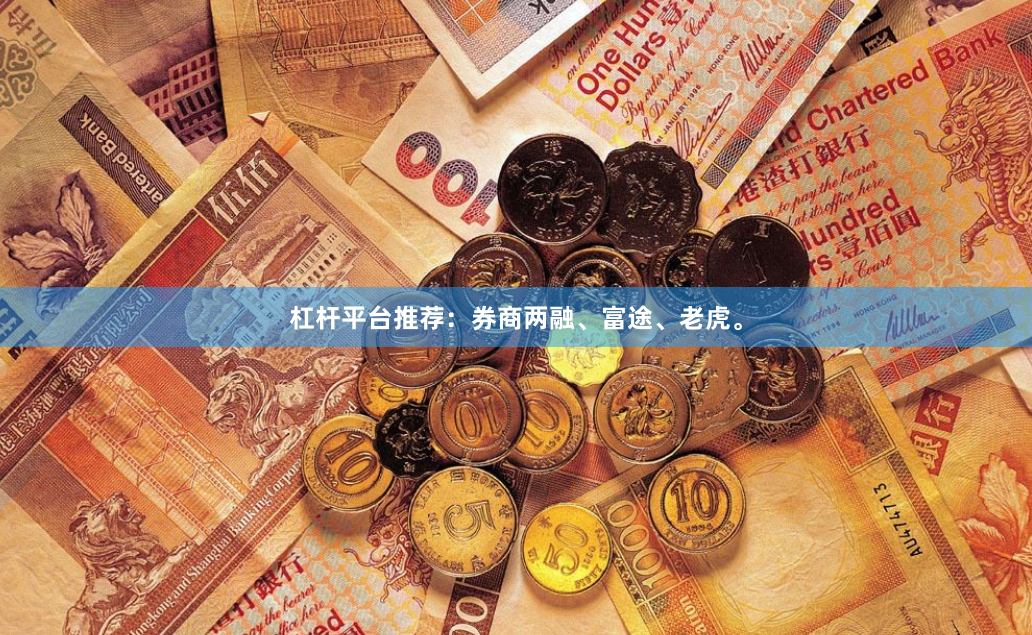 杠杆平台推荐:券商两融、富途、老虎。